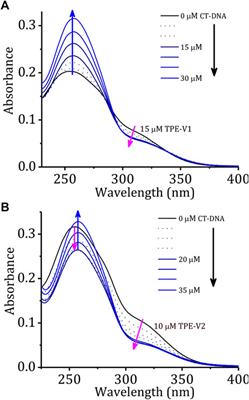 DNA Condensation Triggered by the Synergistic Self-Assembly of Tetraphenylethylene-Viologen Aggregates and CT-DNA